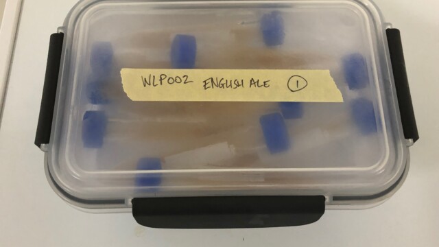 Yeast tubes in alcohol bath with labeled lid just before going into the freezer Making a Frozen Yeast Stock Bank