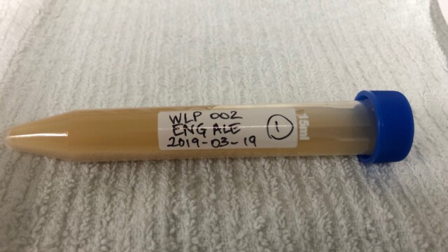 Frozen yeast tube labeled with yeast info - yeast product number (WLP002), yeast type (English Ale), date frozen (2019/03/19), and yeast generation (1st) Making a Frozen Yeast Stock Bank