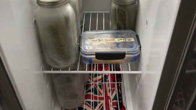 Use a soft-sided cooler or insulated styrofoam shipping box to protect your yeast samples from a cycling frost-free freezer. Just put your samples inside with a few reusable gel ice packs and your yeast will be protected from the temperature fluctuations in your freezer. Making a Frozen Yeast Stock Bank