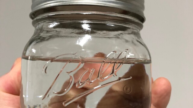Jar of canned glycerin-based cryopreservative ready for use as needed Making Frozen Yeast Stock Bank