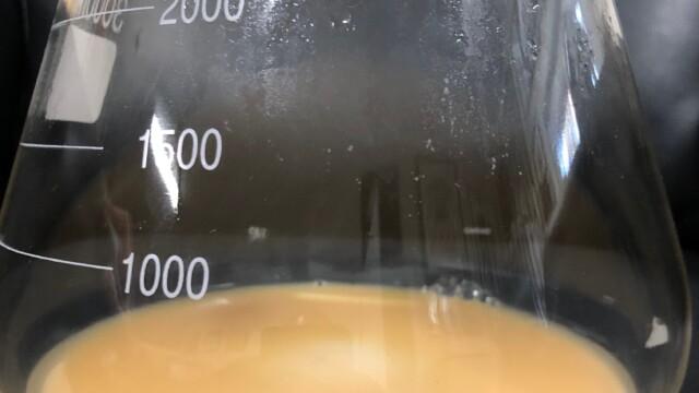 Remaining yeast after decanting my yeast starter Making a Frozen Yeast Stock Bank