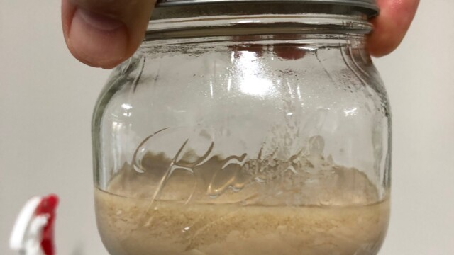 Yeast transferred to sanitized smaller jar for easier extraction using syringe Making a Frozen Yeast Stock Bank