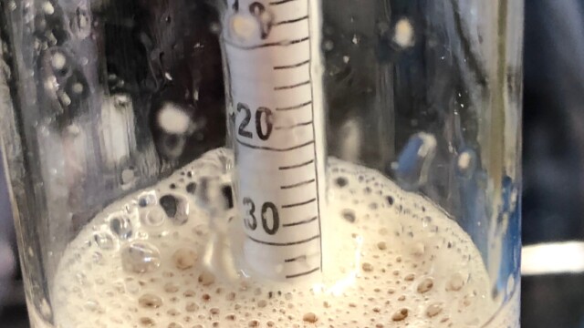 After diluting the canned wort with 22 oz of bottled water (34 oz in a liter - 12 oz of original water = 22 oz of dilution), we have a yeast starter gravity of 1.035. Making Multiple Yeast Starters in a Pressure Canner