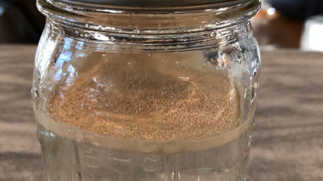 I've sprinkled the packet of dry yeast as evenly as possible across the top of the water. Rehydrating Dry Yeast