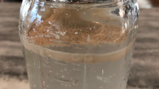 As the first 15 minutes of rehydration passes, some of the yeast particulates will naturally drift to the bottom. Rehydrating Dry Yeast