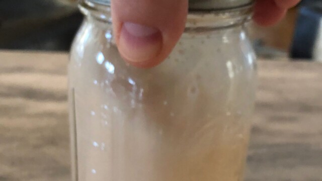 At the end of the first 15 minutes, give the yeast and water a firm swirl to fully mix. Rehydrating Dry Yeast