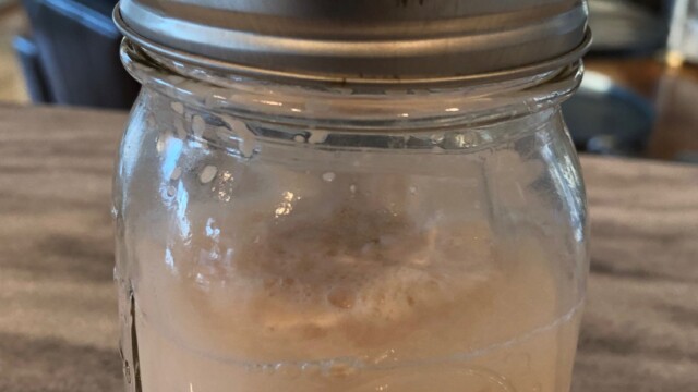 The rehydrated yeast after its five minute rest. Note the bit of foaming on top of liquid. Rehydrating Dry Yeast